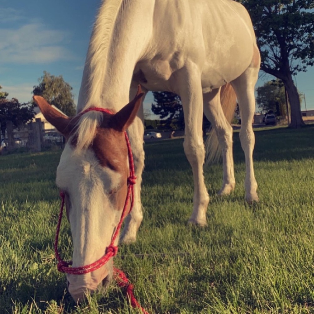 Meet your Posher, Hannah